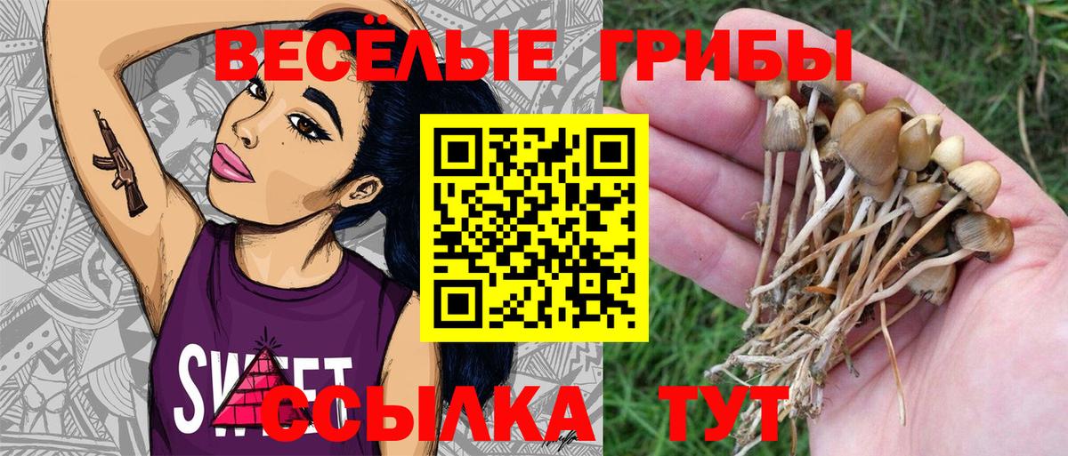 Галлюциногенные грибы прущие грибы Сухой Лог