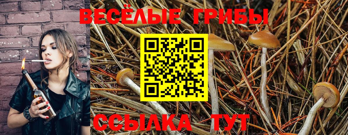 Галлюциногенные грибы прущие грибы  Вход с VPN  Сухой Лог  Псилоцибиновые грибы ЛСД 